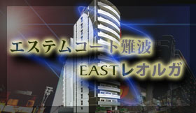 エステムコート難波EASTレオルガサブイメージ